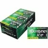 Promo 👍 Gum & Mints Dentyne Ice Sugar Free Gum, Spearmint, 9/Box (31500) ⭐